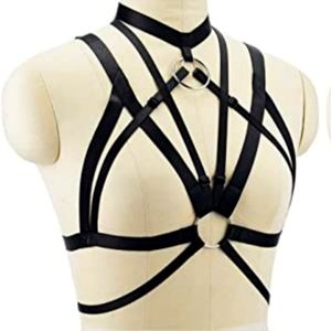 Body harness